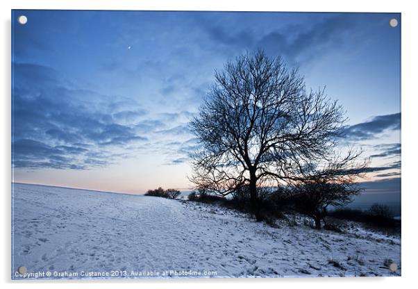 Winter Tree Acrylic by Graham Custance
