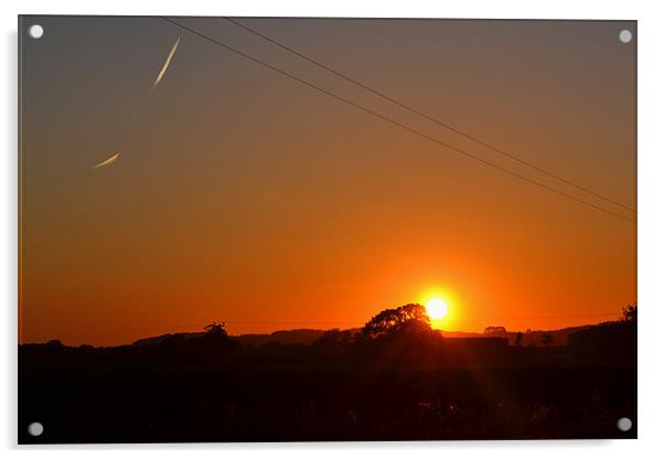 Bright orange sunset Acrylic by Shaun Cope