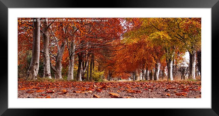 Gordonstoun Autumnal Walk Framed Mounted Print by Scott K Marshall