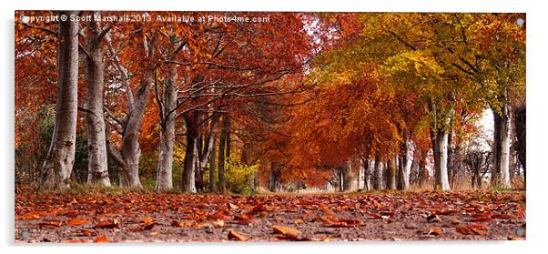 Gordonstoun Autumnal Walk Acrylic by Scott K Marshall