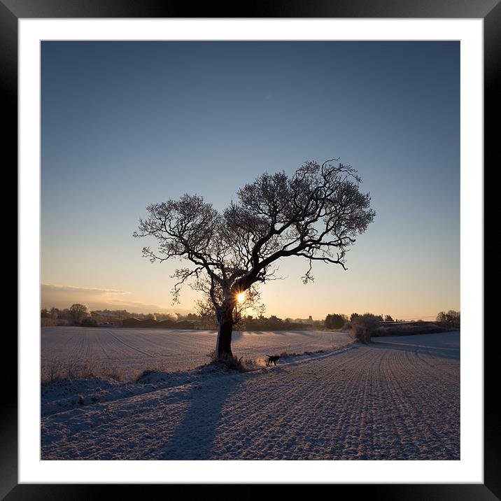 Tree in Winter Framed Mounted Print by Simon Wrigglesworth