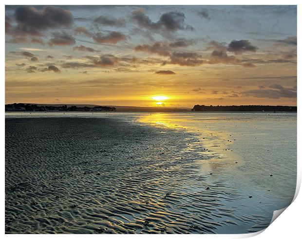 Brownsea Island Sunset Print by Jennie Franklin