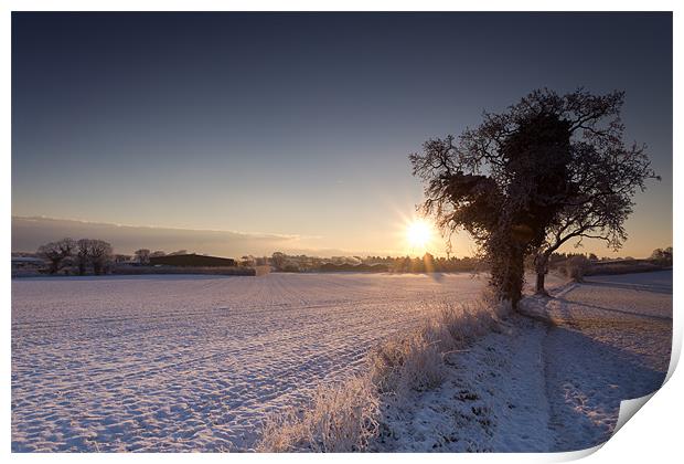 A Winters day Print by Simon Wrigglesworth