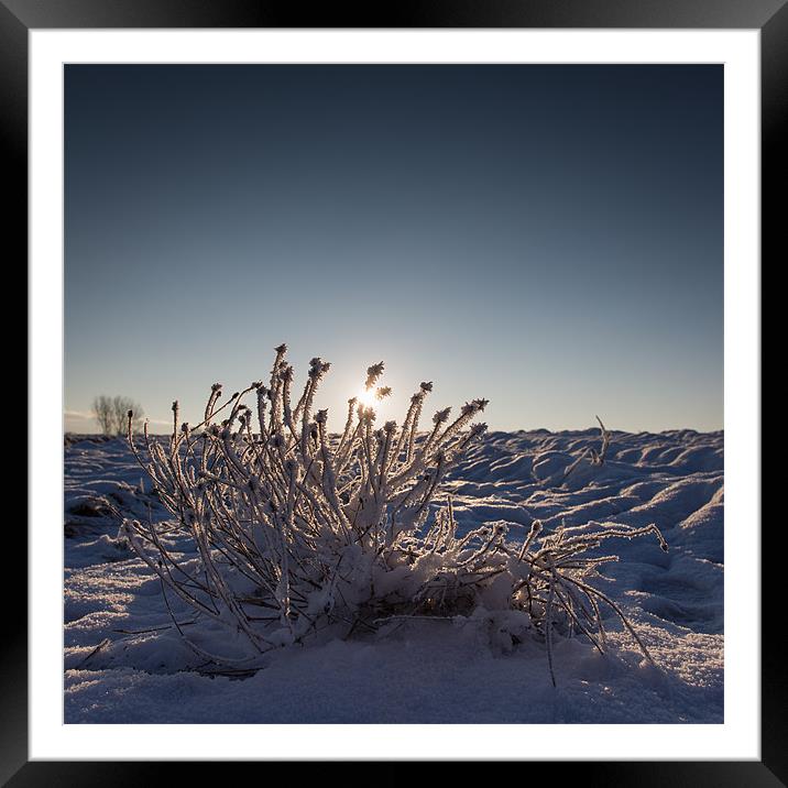 Frosty Start Framed Mounted Print by Simon Wrigglesworth