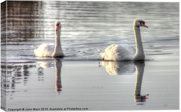 Bonded Swans on the Canal Canvas Print by John Wain