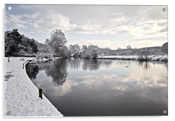Winter on Coltishall Common Acrylic by Paul Macro