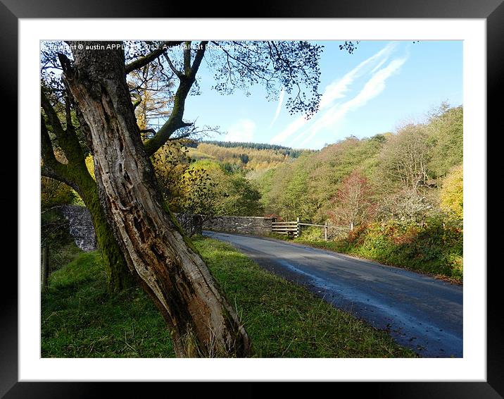 AUTUMN SCENE IN BRECON BEACONS Framed Mounted Print by austin APPLEBY