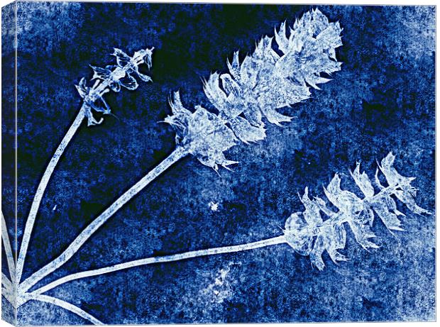 blue nature Canvas Print by dale rys (LP)