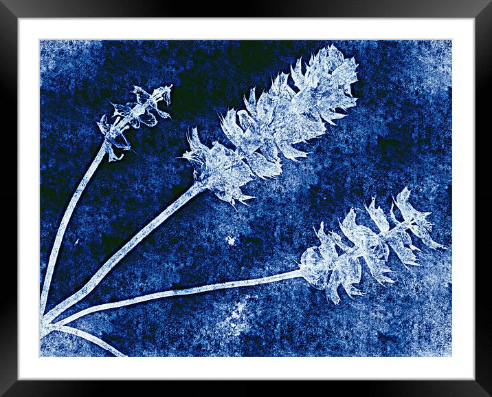 blue nature Framed Mounted Print by dale rys (LP)
