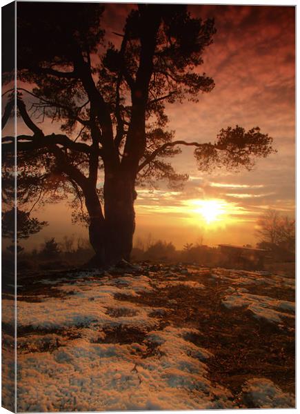 Sunset on Leith Hill Canvas Print by Chris Manfield