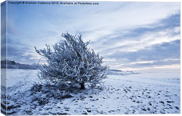 Lonely Winter Tree Canvas Print by Graham Custance