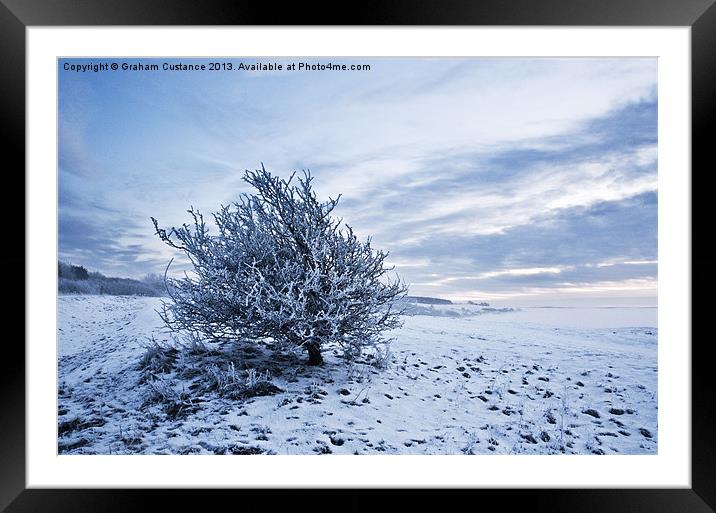 Lonely Winter Tree Framed Mounted Print by Graham Custance