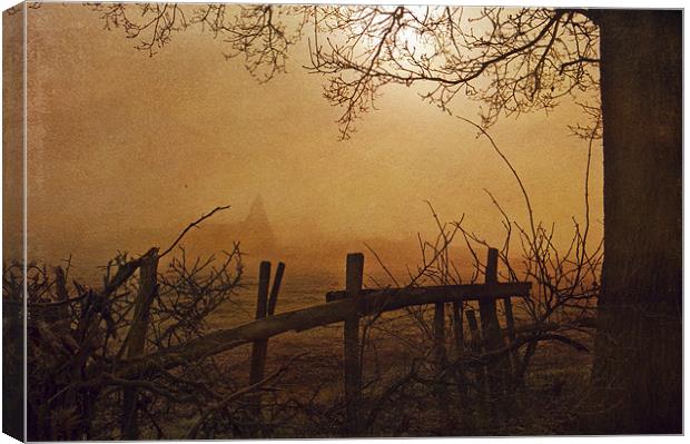 Looking through the fog Canvas Print by Dawn Cox