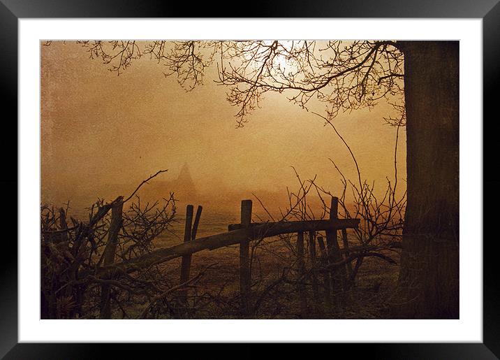 Looking through the fog Framed Mounted Print by Dawn Cox