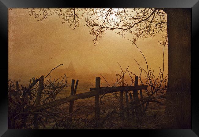 Looking through the fog Framed Print by Dawn Cox