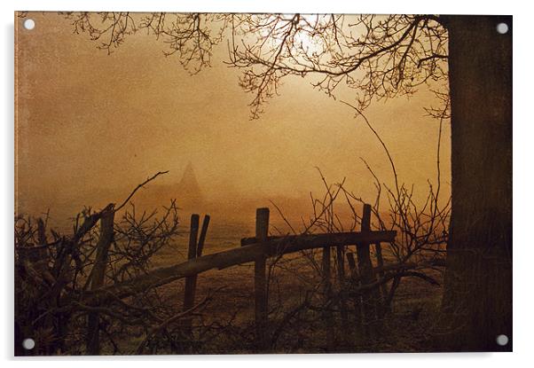 Looking through the fog Acrylic by Dawn Cox