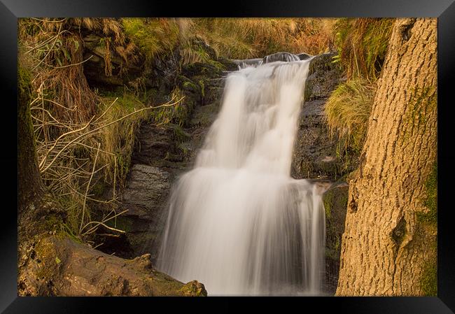 Crowden Clough Waterfall Framed Print by Phil Tinkler