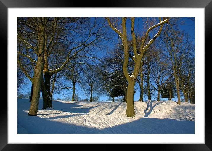 Winter in the Park Framed Mounted Print by Darren Galpin