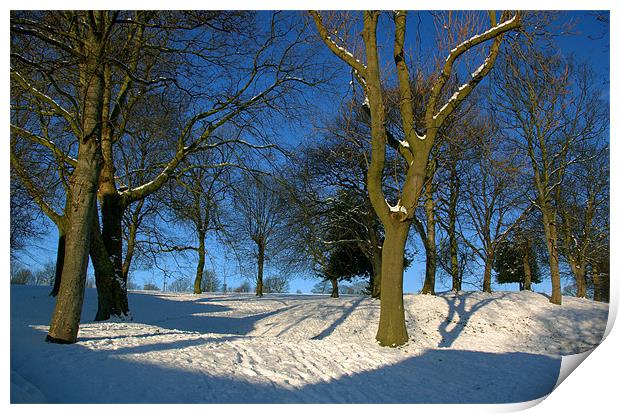 Winter in the Park Print by Darren Galpin