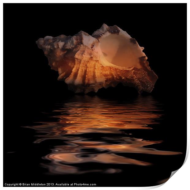 Shell Series Reflection 7 Print by Brian Middleton