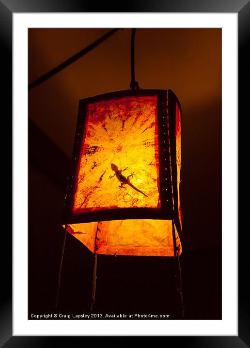 Gecko in a lightshade Framed Mounted Print by Craig Lapsley