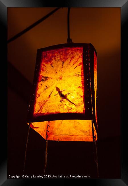 Gecko in a lightshade Framed Print by Craig Lapsley