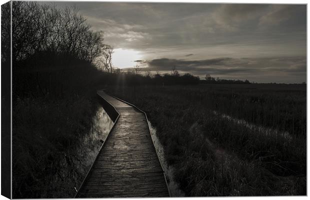 Sunset Walkway Canvas Print by Leanne Fitzwater