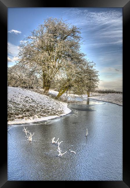 Winter Wonderland Framed Print by Oliver Porter