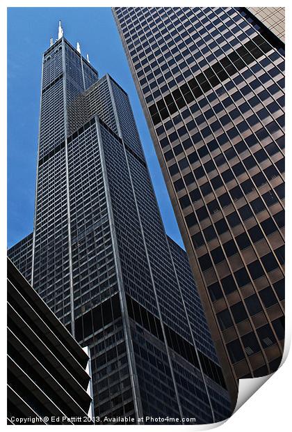 Willis Tower, Chicago Print by Ed Pettitt