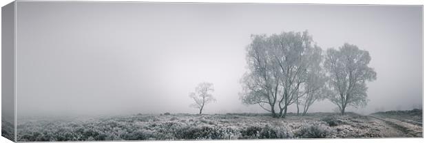 Cannock Chase Canvas Print by Natures' Canvas: Wall Art  & Prints by Andy Astbury