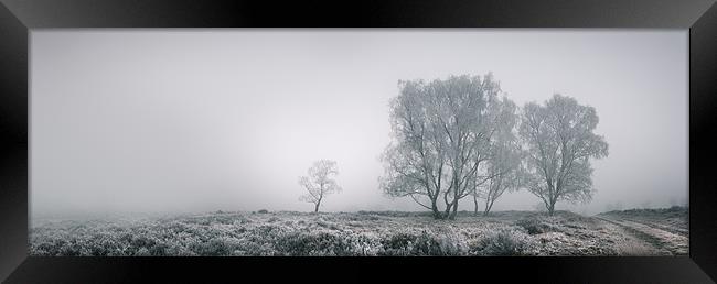 Cannock Chase Framed Print by Natures' Canvas: Wall Art  & Prints by Andy Astbury