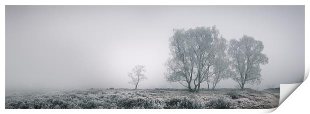 Cannock Chase Print by Natures' Canvas: Wall Art  & Prints by Andy Astbury