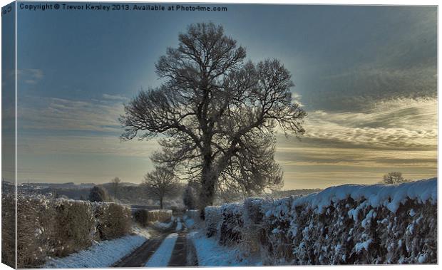Frosty Countryside Canvas Print by Trevor Kersley RIP