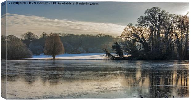 Newburgh Pond in Winter Canvas Print by Trevor Kersley RIP