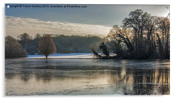 Newburgh Pond in Winter Acrylic by Trevor Kersley RIP