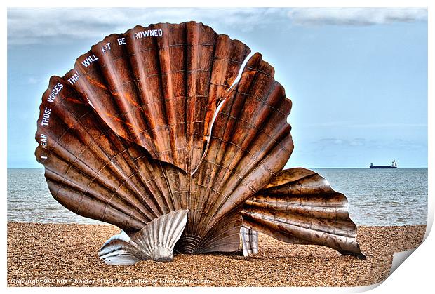 The Resilient Scallop Shell Print by Chris Thaxter