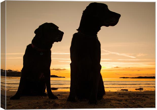 Dogs in the sunset Canvas Print by Gail Johnson