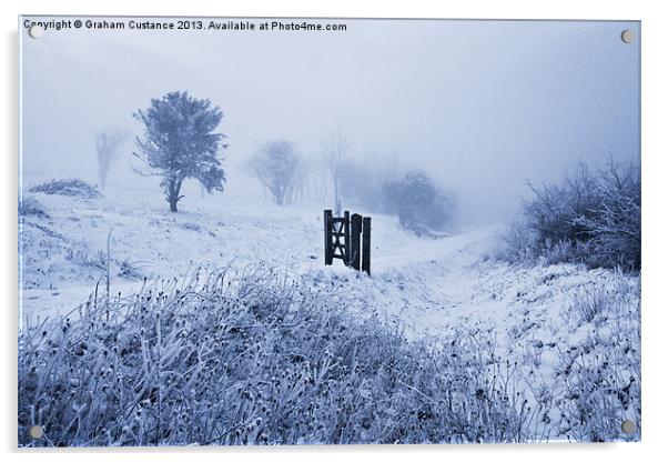 Winter Wonderland Acrylic by Graham Custance