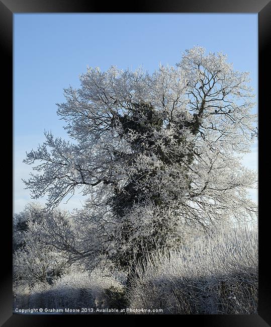 Frost rimed tree Framed Print by Graham Moore