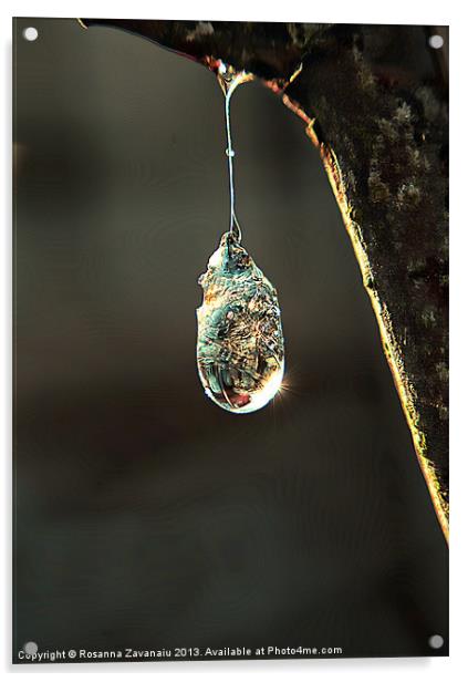 Natures  Jewels. Acrylic by Rosanna Zavanaiu