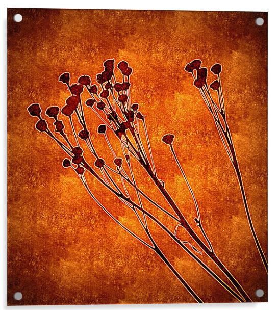 winter flowers Acrylic by dale rys (LP)