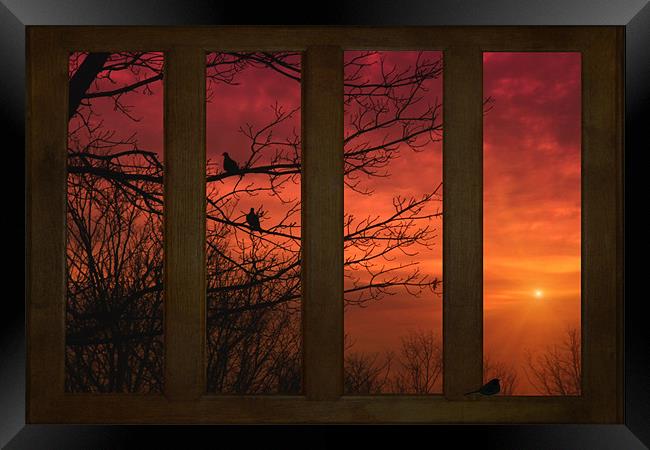 AS THE SUN GOES DOWN Framed Print by Tom York