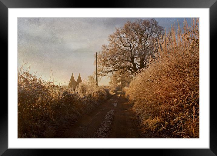 morning walk Framed Mounted Print by Dawn Cox