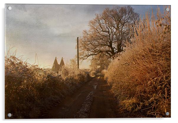 morning walk Acrylic by Dawn Cox