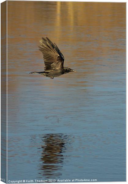 As The Crow Flys Canvas Print by Keith Thorburn EFIAP/b