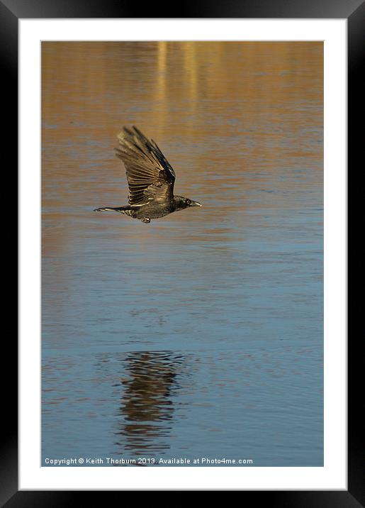 As The Crow Flys Framed Mounted Print by Keith Thorburn EFIAP/b