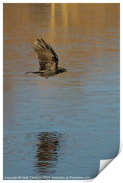 As The Crow Flys Print by Keith Thorburn EFIAP/b