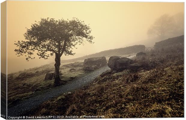 Misty Sunrise - Cumbria Canvas Print by David Lewins (LRPS)