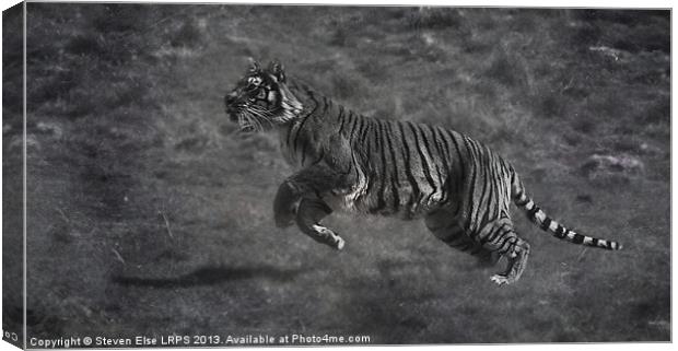 Monochrome Running Tiger Canvas Print by Steven Else ARPS