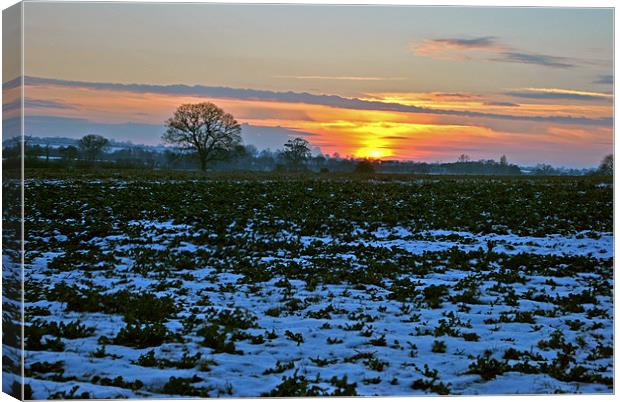 Winter Sunset Canvas Print by graham young